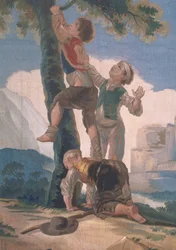 Niños trepando a un árbol